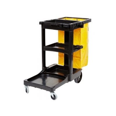 Janitor carro